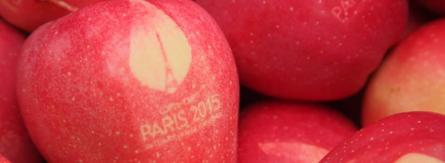 Foto com várias maçãs, nas maçãs tem o logo da COP21.