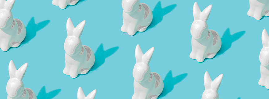 Foto de vários coelhos brancos sobre fundo azul