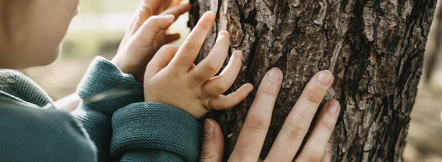 Foto de uma criança e um adulto tocando em uma árvore como imagem de apoio ao texto sobre Consumismo infantil e seus impactos na natureza