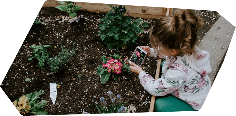 Criança tirando foto de uma flor rosa